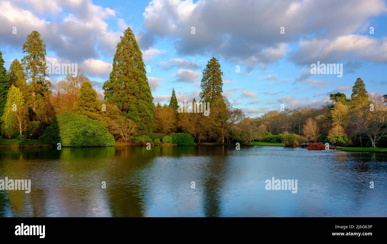 Sheffield Park, Regno Unito - 5 gennaio 2022: Luce pomeridiana a metà inverno sugli alberi e i giardini di Sheffield Park, East Sussex, Regno Unito Foto Stock