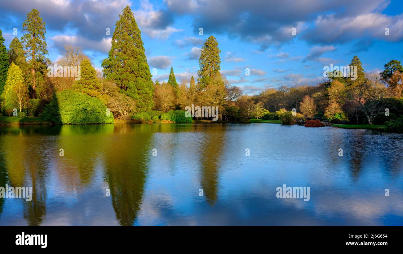 Sheffield Park, Regno Unito - 5 gennaio 2022: Luce pomeridiana a metà inverno sugli alberi e i giardini di Sheffield Park, East Sussex, Regno Unito Foto Stock