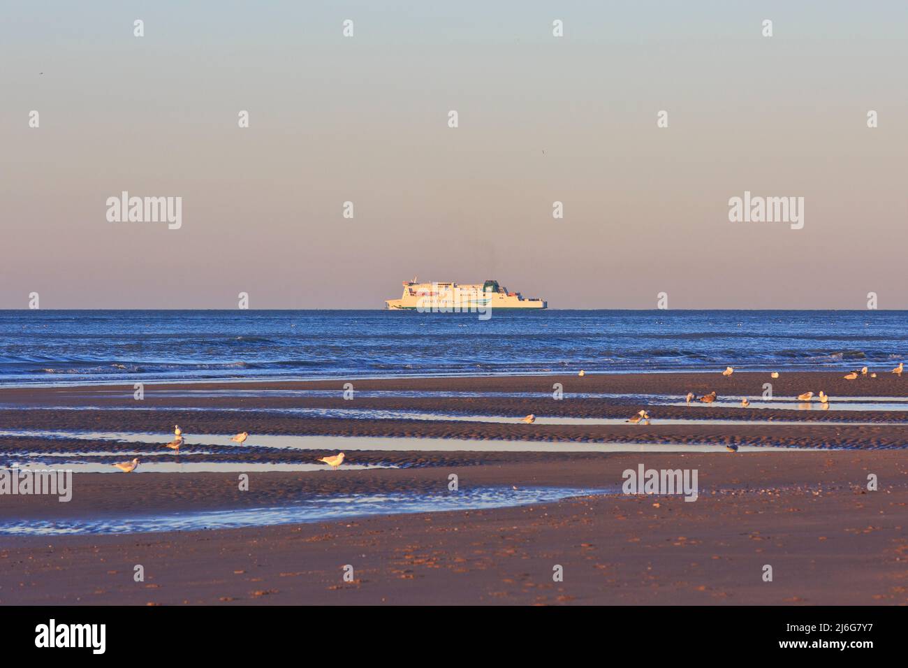 Irish Ferries traghetto a vela passando Cap Blanc-Nez (Costa d'Opale) in Pas-de-Calais, Francia Foto Stock