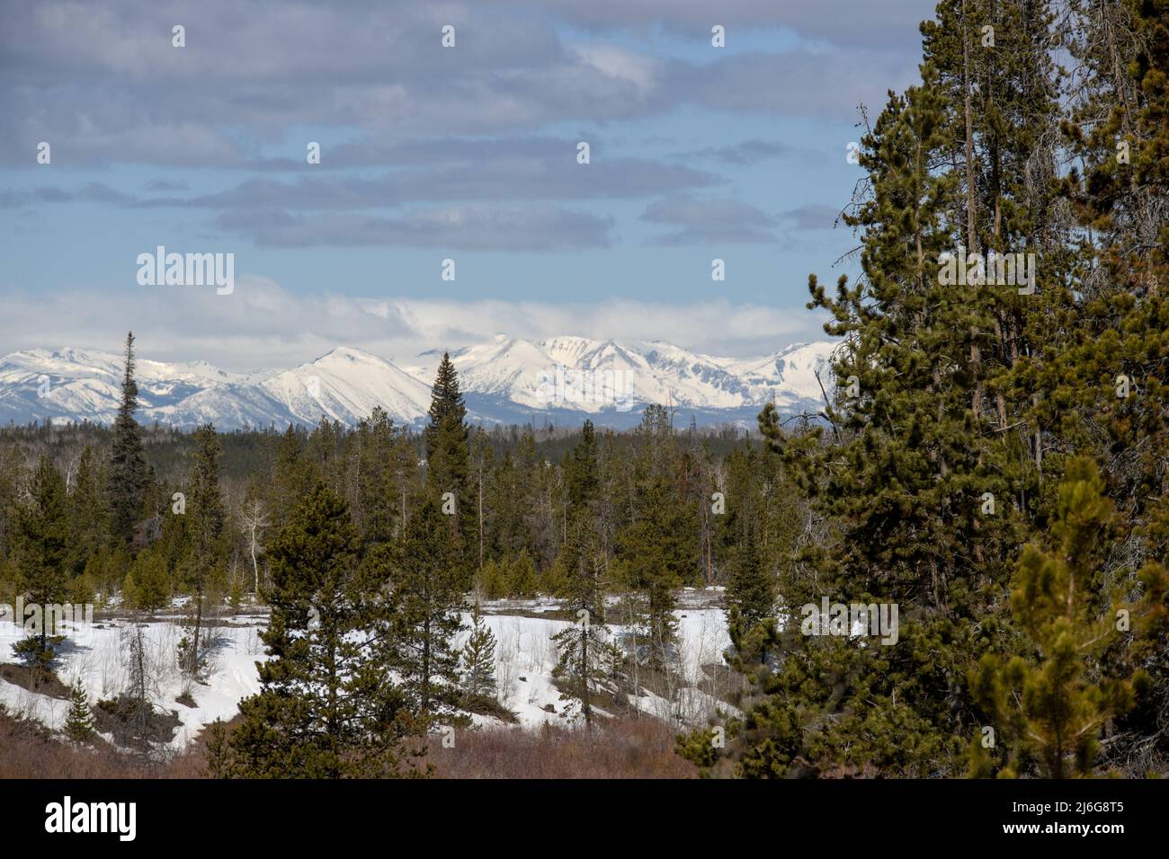 Una vista idilliaca delle Montagne Rocciose dallo state Forest state Park vicino a Walden, Colorado, in un habitat di alci Foto Stock