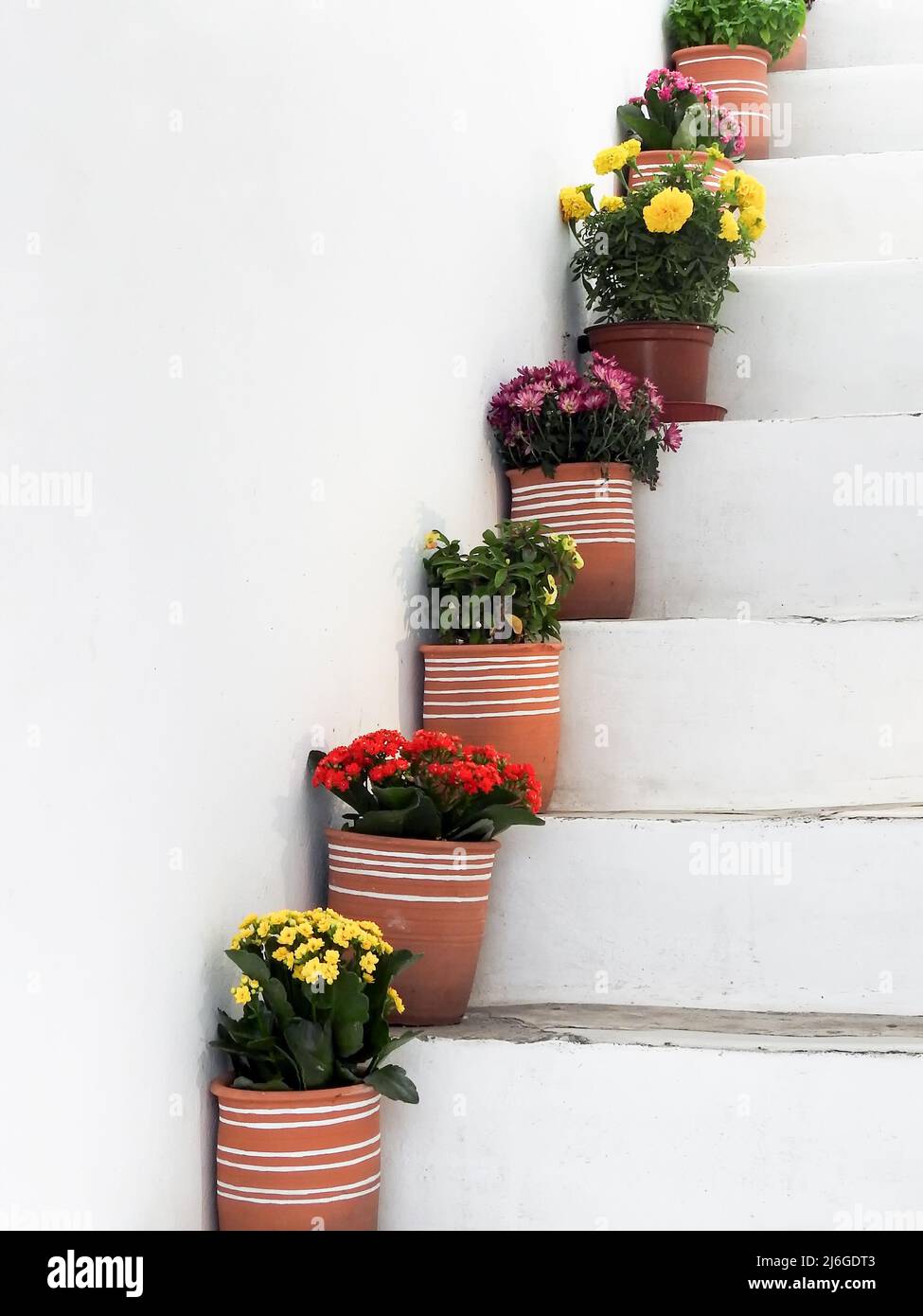 Vasi di fiori su gradini Foto Stock