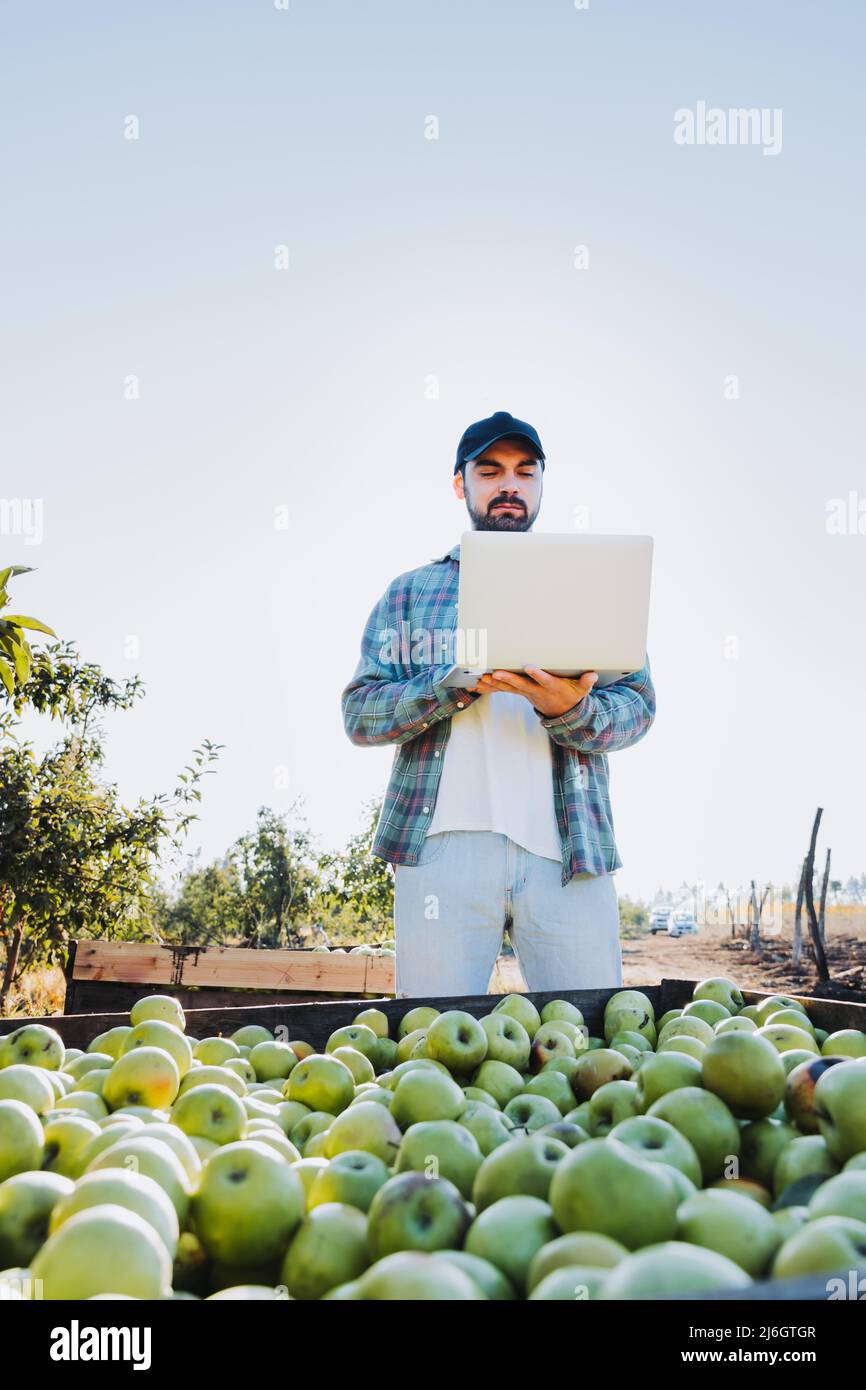 Giovane contadino latino telelavoro sul suo portatile accanto a un cestino di mele Foto Stock