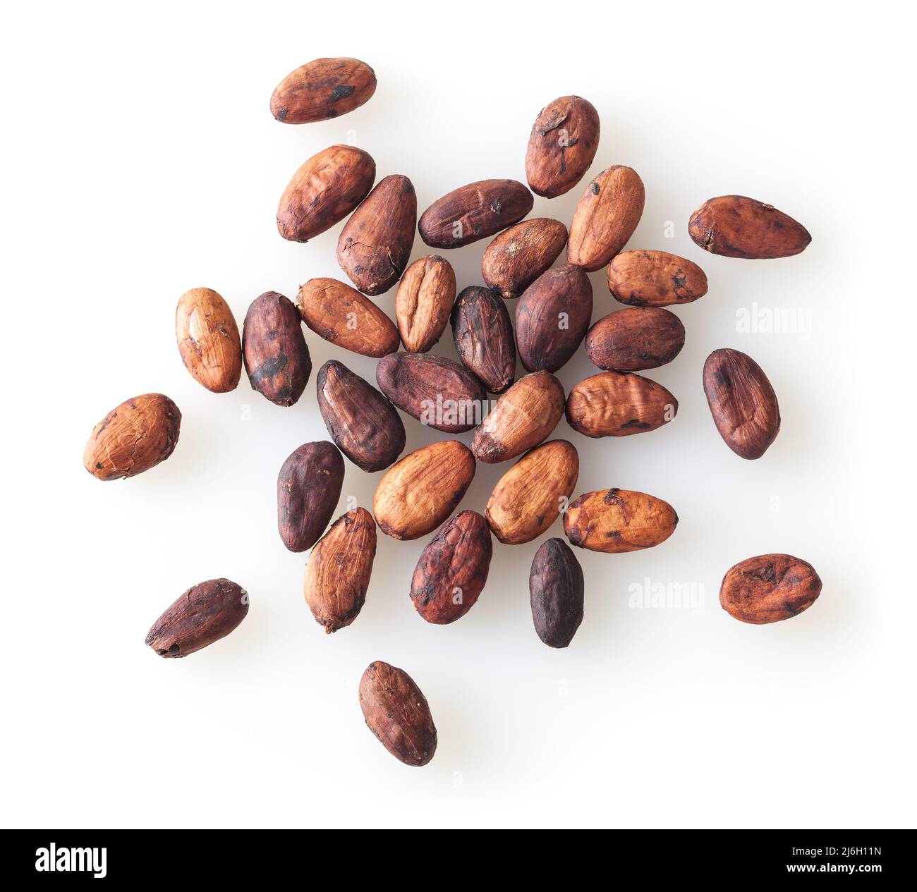 Mucchio di fagioli di cacao non cotti isolati su sfondo bianco Foto Stock