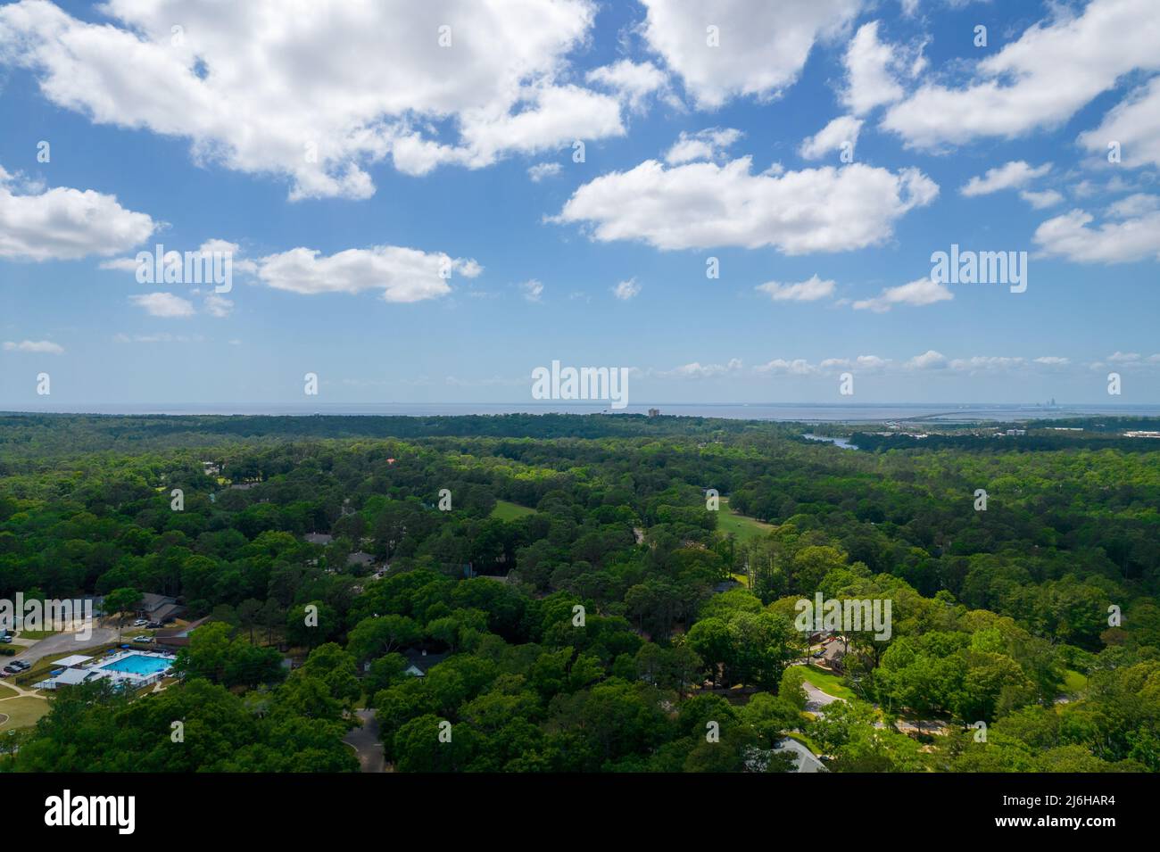 Foresta del lago a Daphne, Alabama Foto Stock