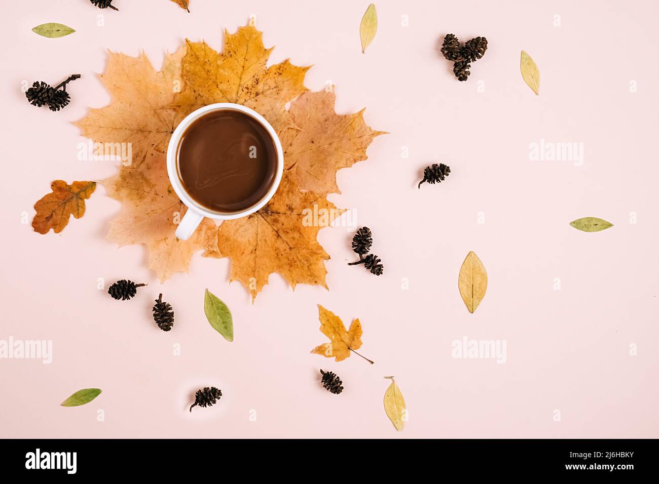 Foglie secche, tazza di caffè caldo, piccoli coni su parete di fondo color rosa pastello in studio con spazio copia per la pubblicità. Autunno creativo, thanksgivi Foto Stock