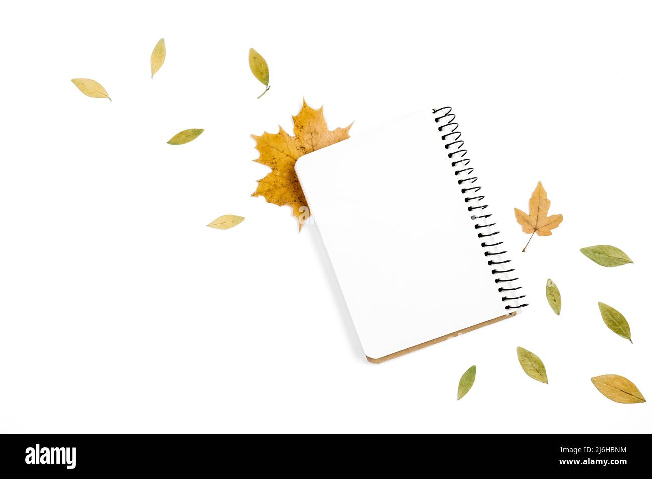 Composizione della disposizione piatta. Taccuino e foglie essiccate, isolato su parete di fondo bianco studio per la pubblicità. Autunno creativo, rendimento di grazie, autunno, sala Foto Stock