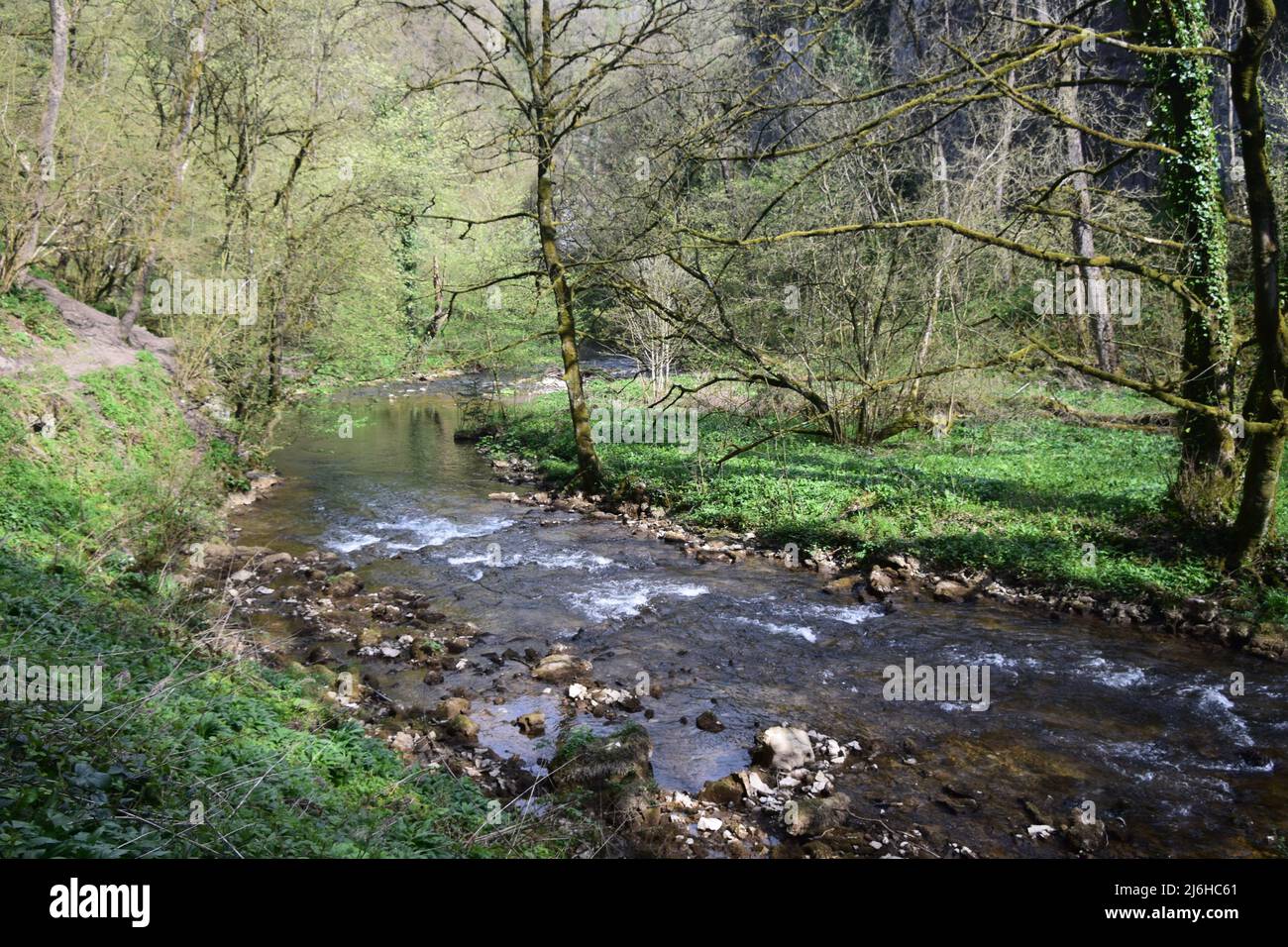 Un'ottima passeggiata nelle profondità di Chee dale nel distretto di Derbyshire Peak. Foto Stock