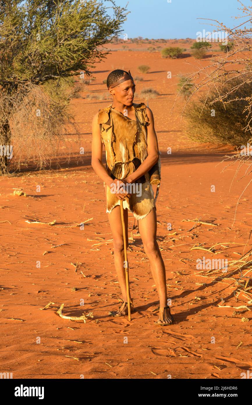 I Boscimani di San (Saan), cacciatori-raccoglitori indigeni semi-nomadi, hanno vissuto in Africa del Sud per 20.000 anni, deserto di Kalahari, Namibia, Africa Foto Stock