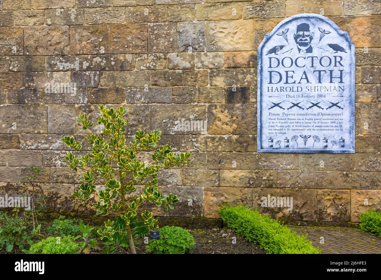 Dettagli del serial killer Dottor Death Harold Shipman nel giardino di veleno in Alnwick Gardens a Alnwick, Northumberland Regno Unito nel mese di aprile Foto Stock