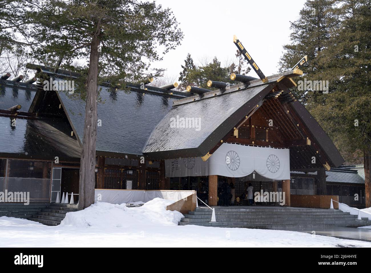 Santuario di Hokkaido / Hokkaido Jingu nel Parco di Maruyama, Città di Sapporo, Hokkaido, Giappone Foto Stock