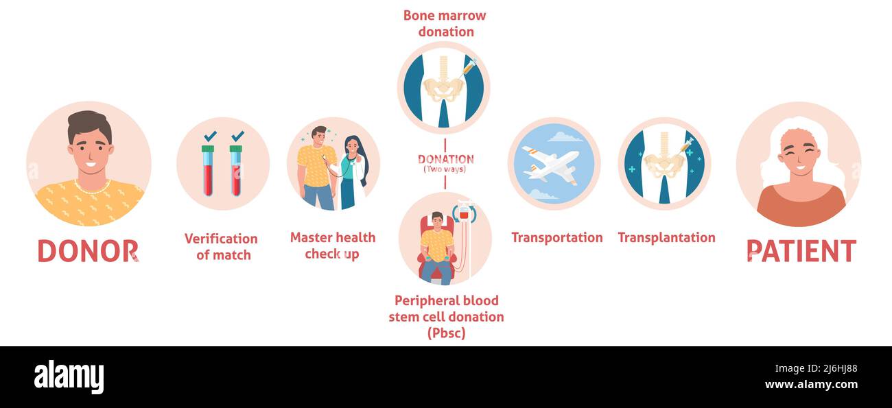 Grafica informativa poster medico donazione midollo osseo Illustrazione Vettoriale