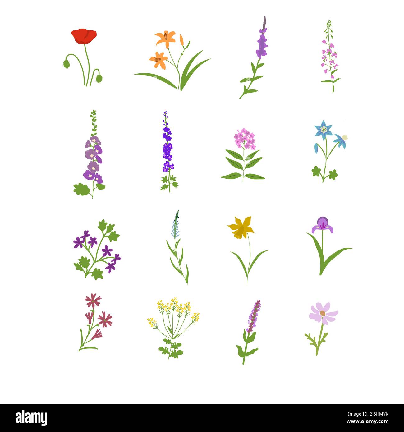 Set decorativo di fiori di prato Illustrazione Vettoriale