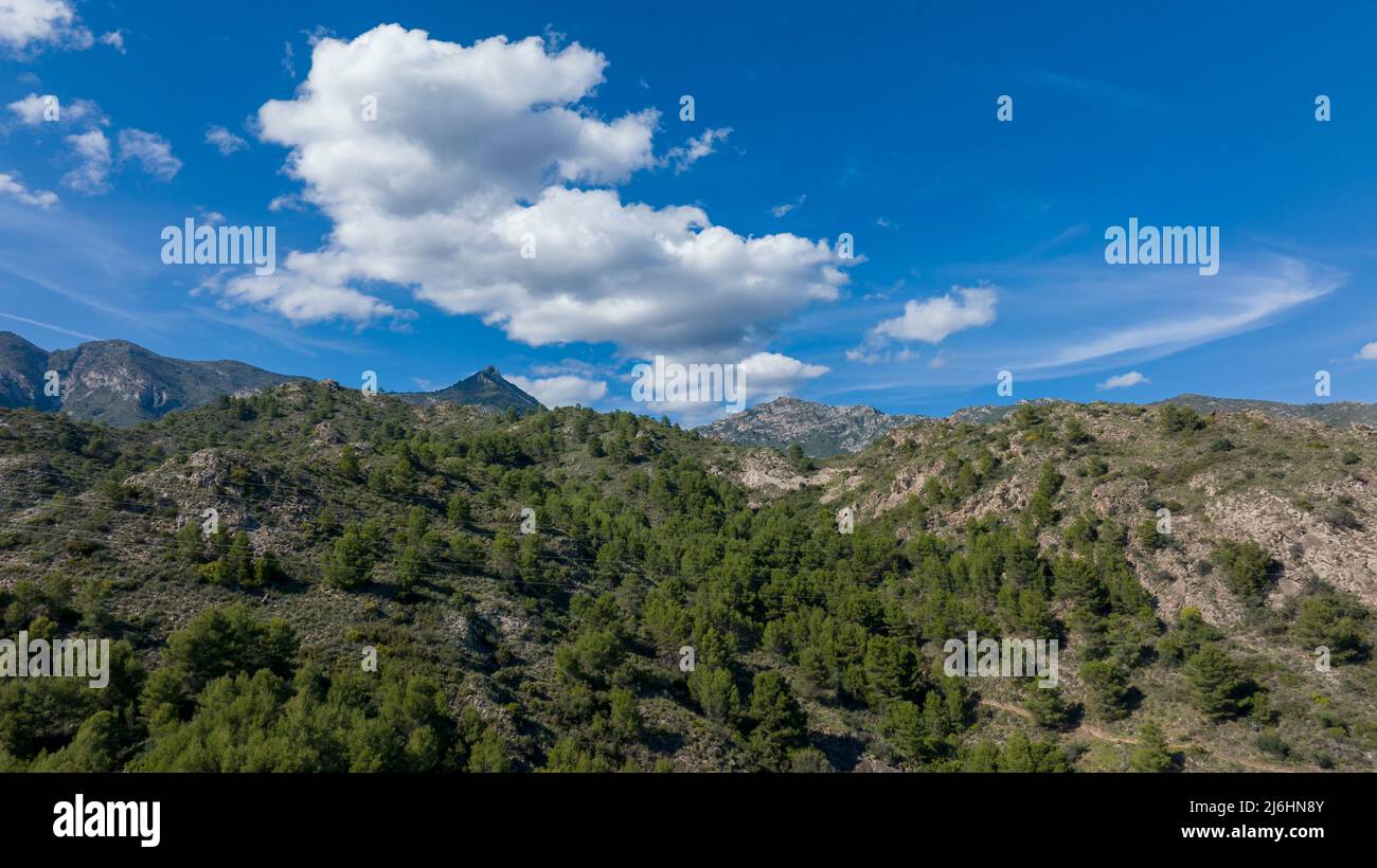 Vista delle colline pedemontane della sierra blanca nel comune di Marbella, Spagna Foto Stock