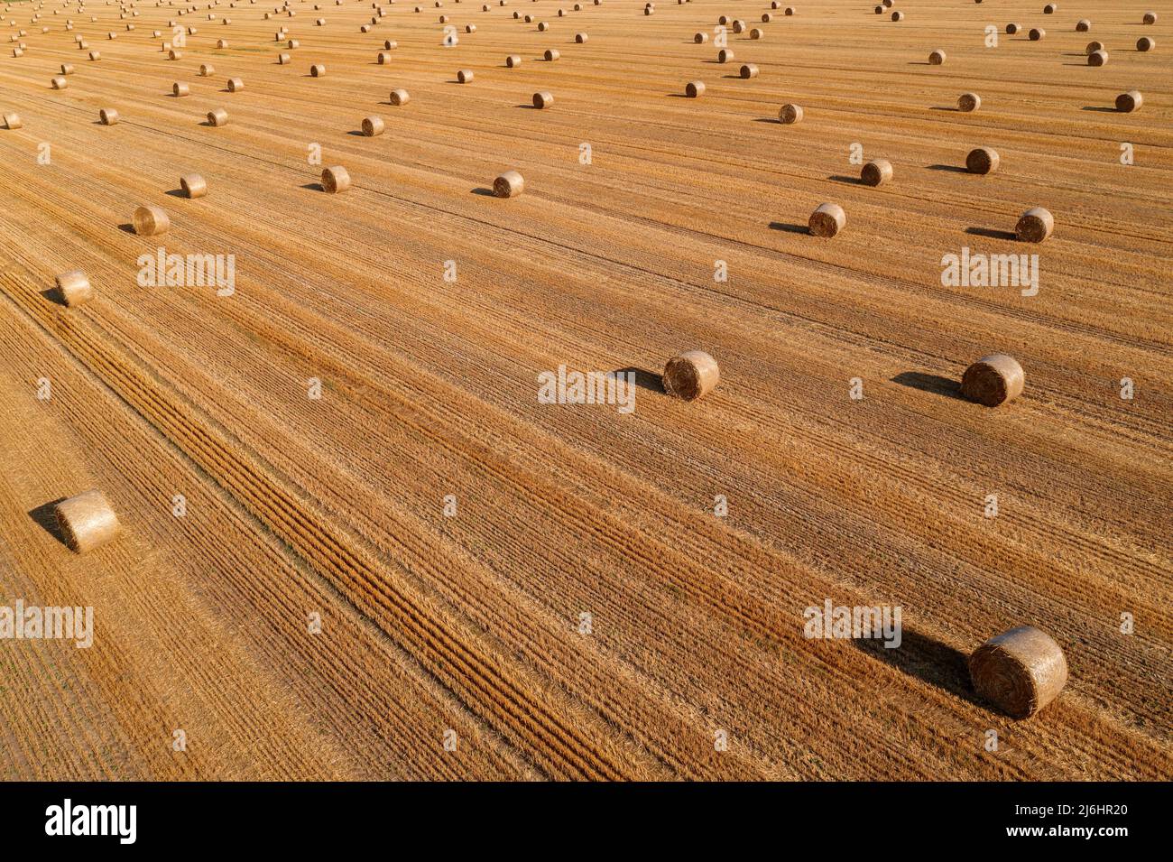 Vista aerea delle balle di fieno arrotolate nel campo di grano raccolto dal drone pov, fotografia ad angolo elevato Foto Stock