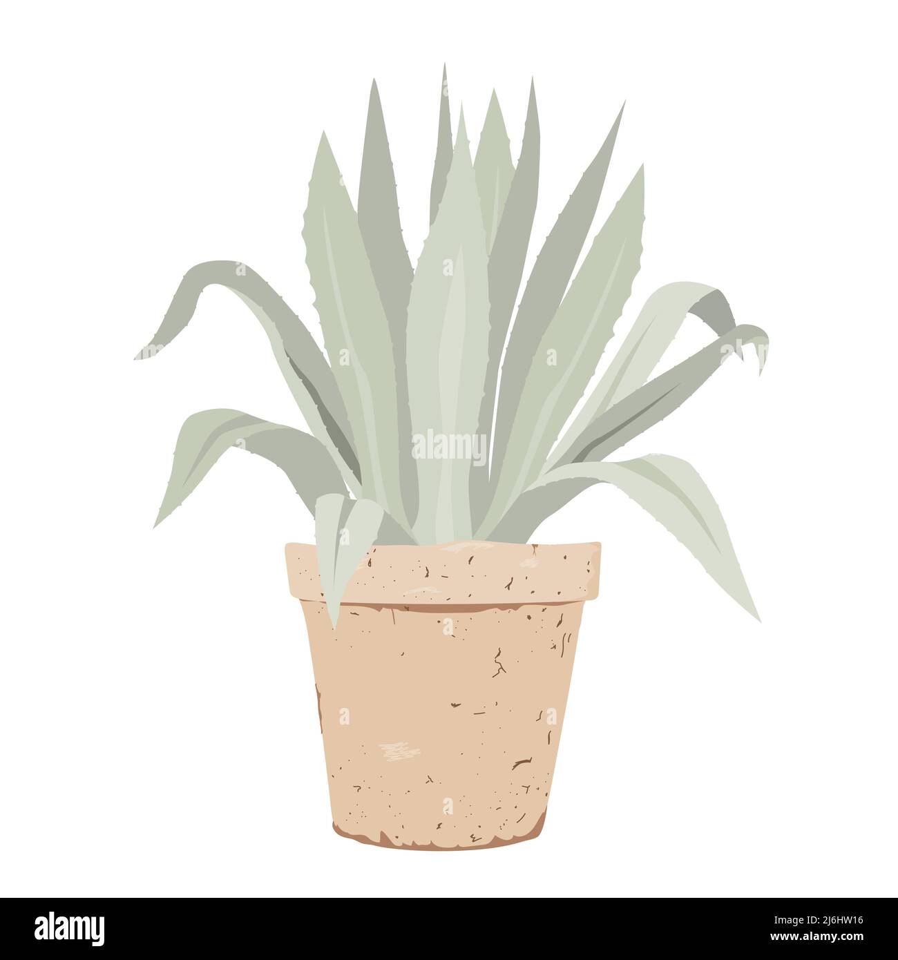 Agave blu in un elegante vaso vecchio fiore, illustrazione vettoriale piatta. Giardino in vaso di piante Meditteranee Illustrazione Vettoriale