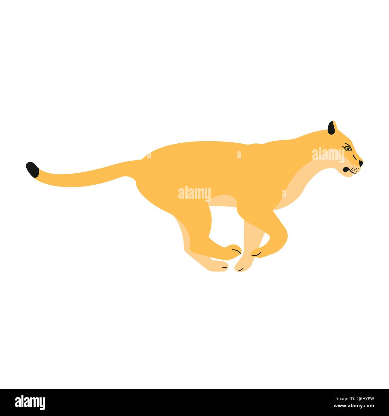 Vettore flat corrente Lioness isolato su sfondo bianco Illustrazione Vettoriale