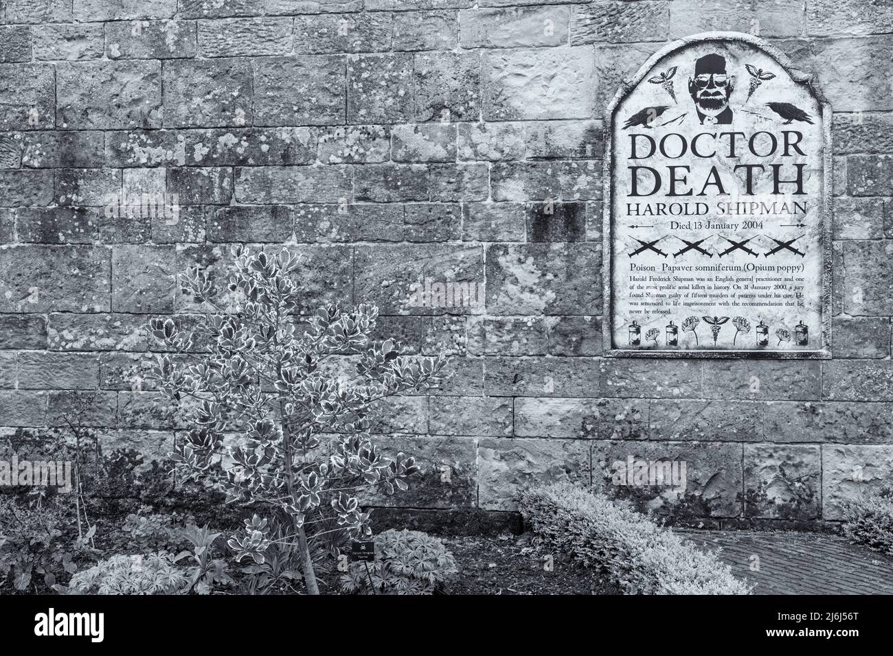 Dettagli del serial killer Dottor Death Harold Shipman nel giardino di veleno in Alnwick Gardens a Alnwick, Northumberland Regno Unito nel mese di aprile Foto Stock