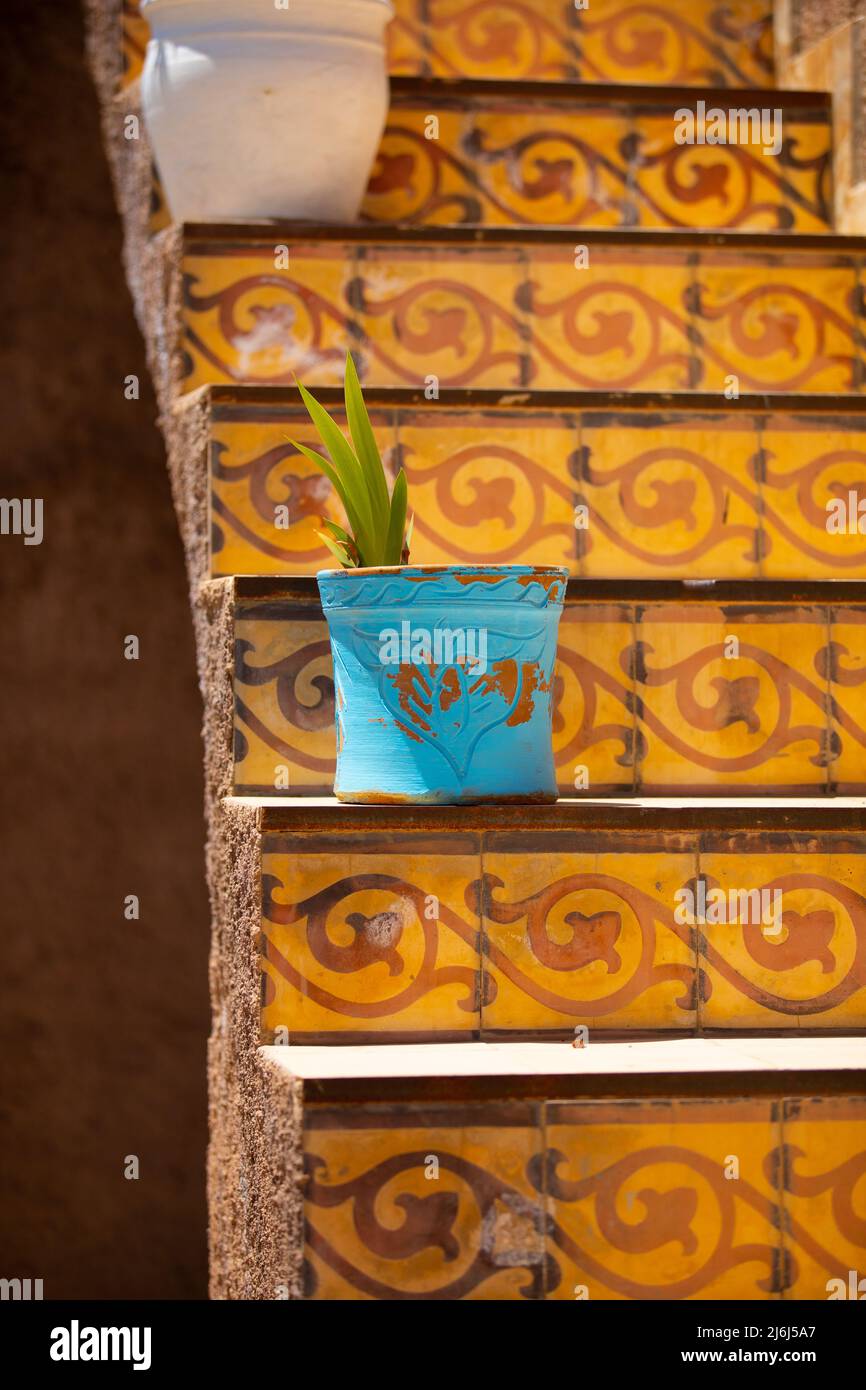 Immagini di Yves Saint Lauren Garden a Marrakesh Foto Stock