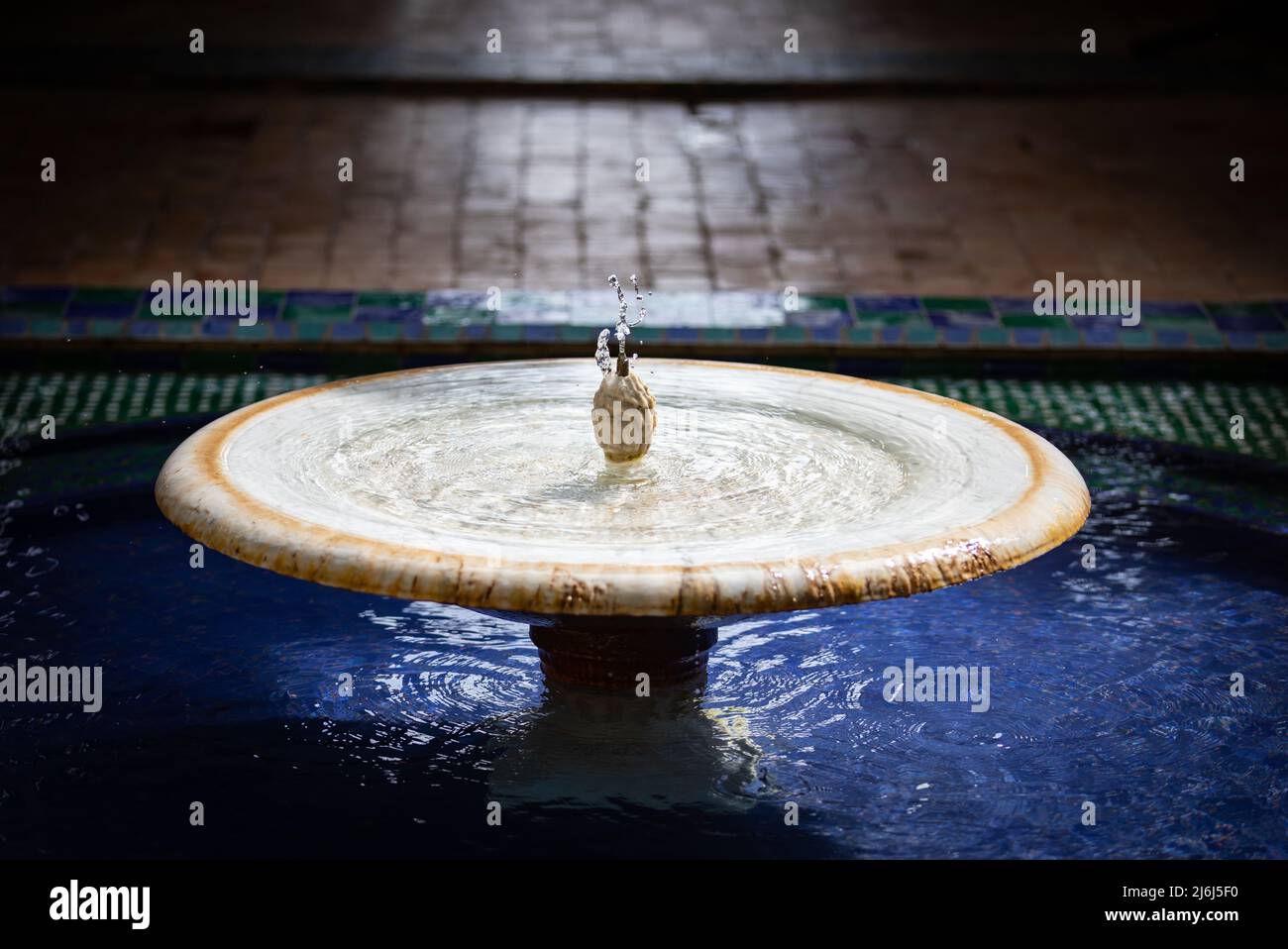 Immagini di Yves Saint Lauren Garden a Marrakesh Foto Stock