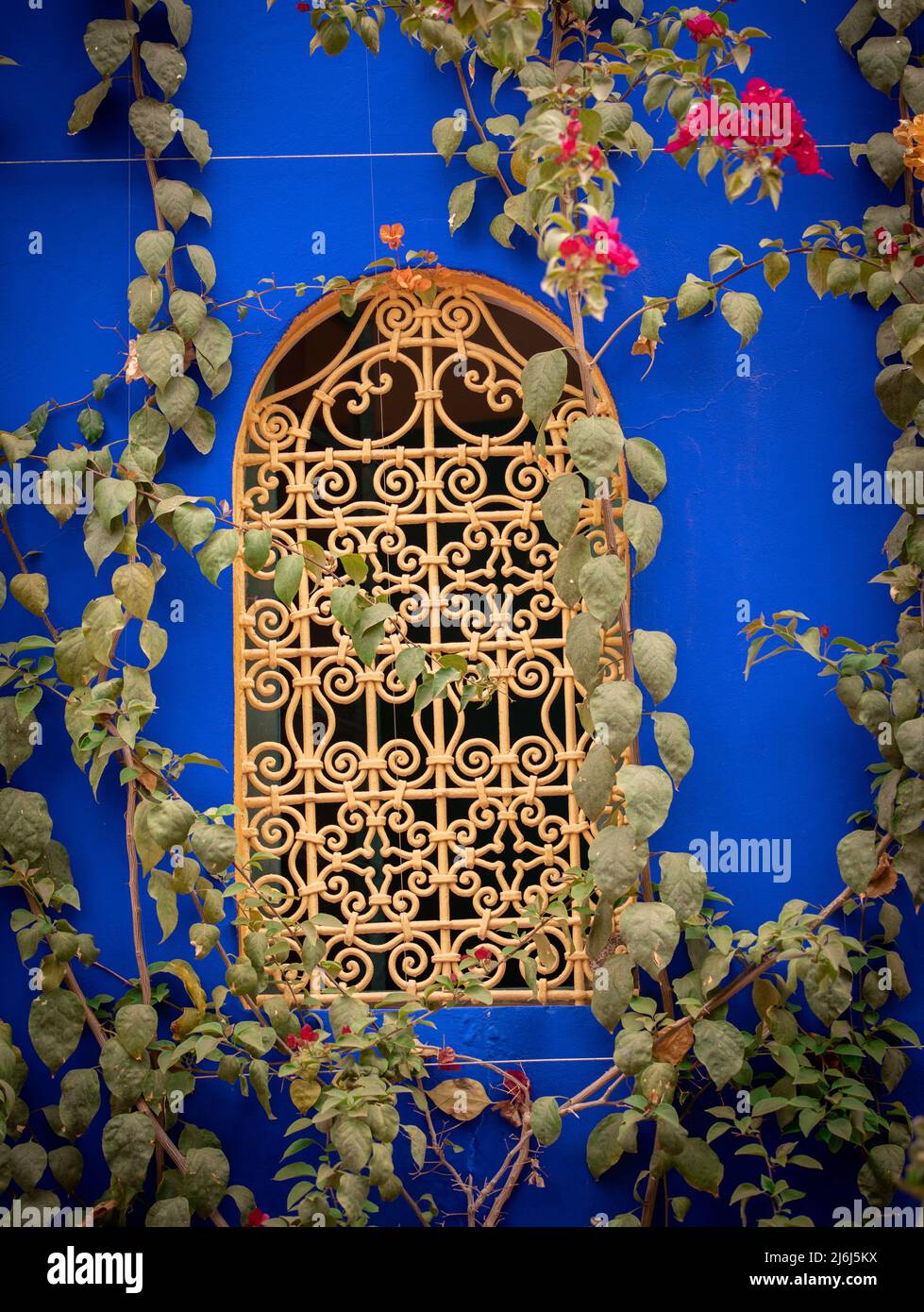 Immagini di Yves Saint Lauren Garden a Marrakesh Foto Stock