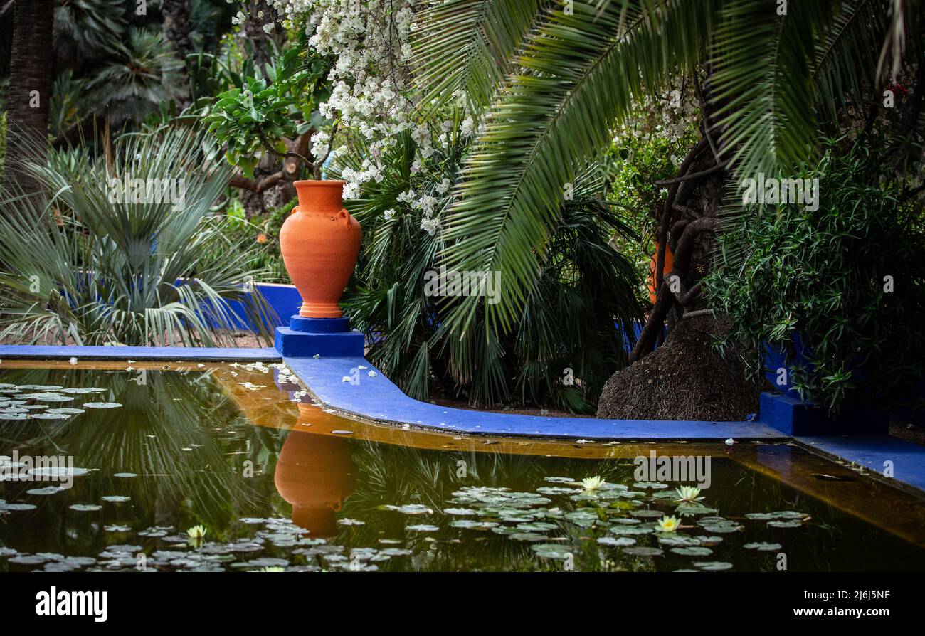Immagini di Yves Saint Lauren Garden a Marrakesh Foto Stock
