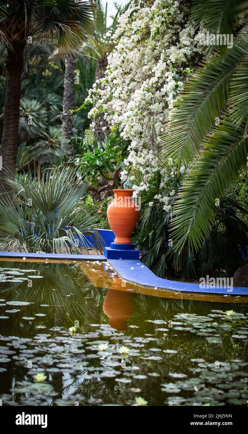 Immagini di Yves Saint Lauren Garden a Marrakesh Foto Stock