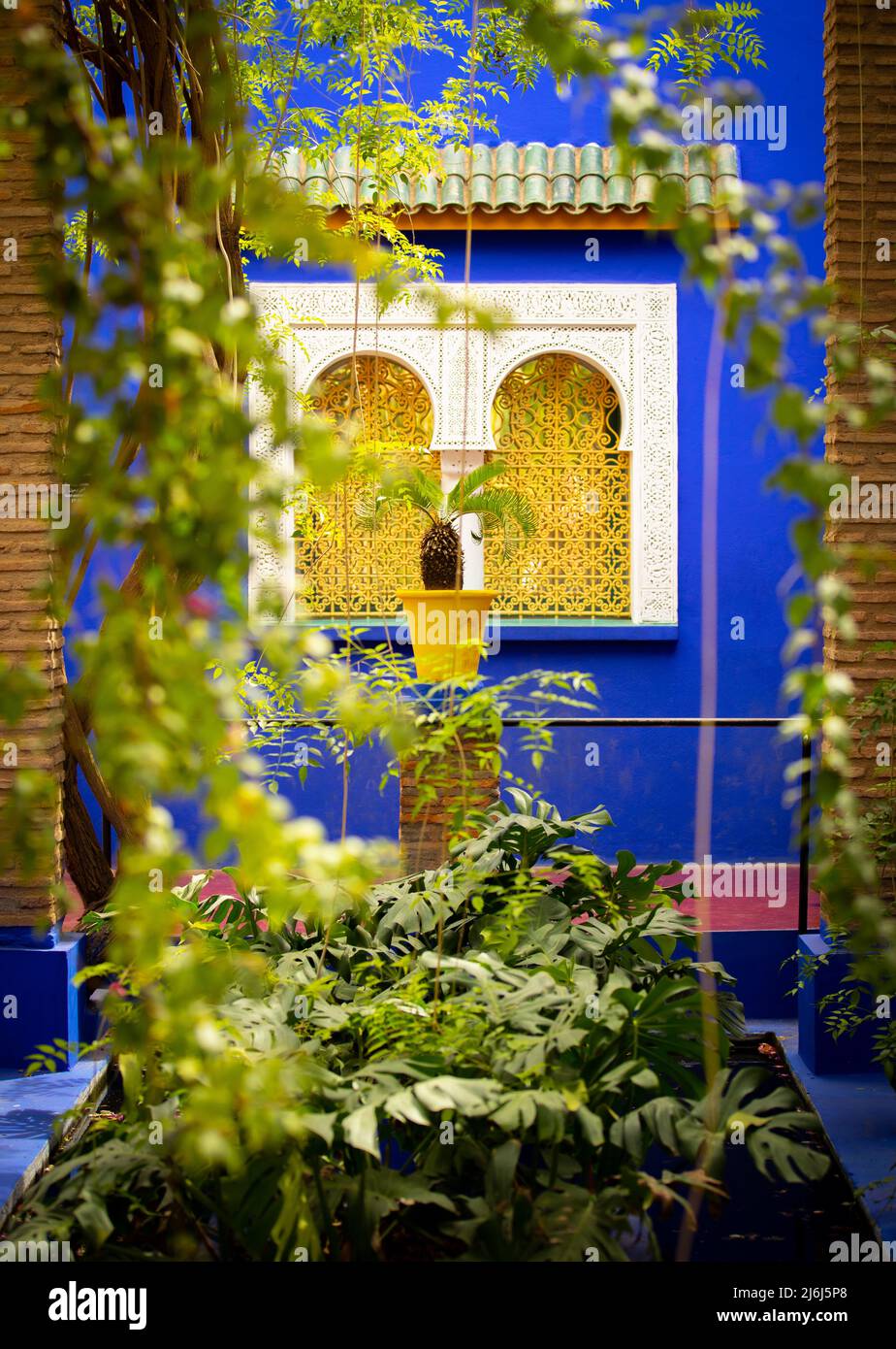 Immagini di Yves Saint Lauren Garden a Marrakesh Foto Stock