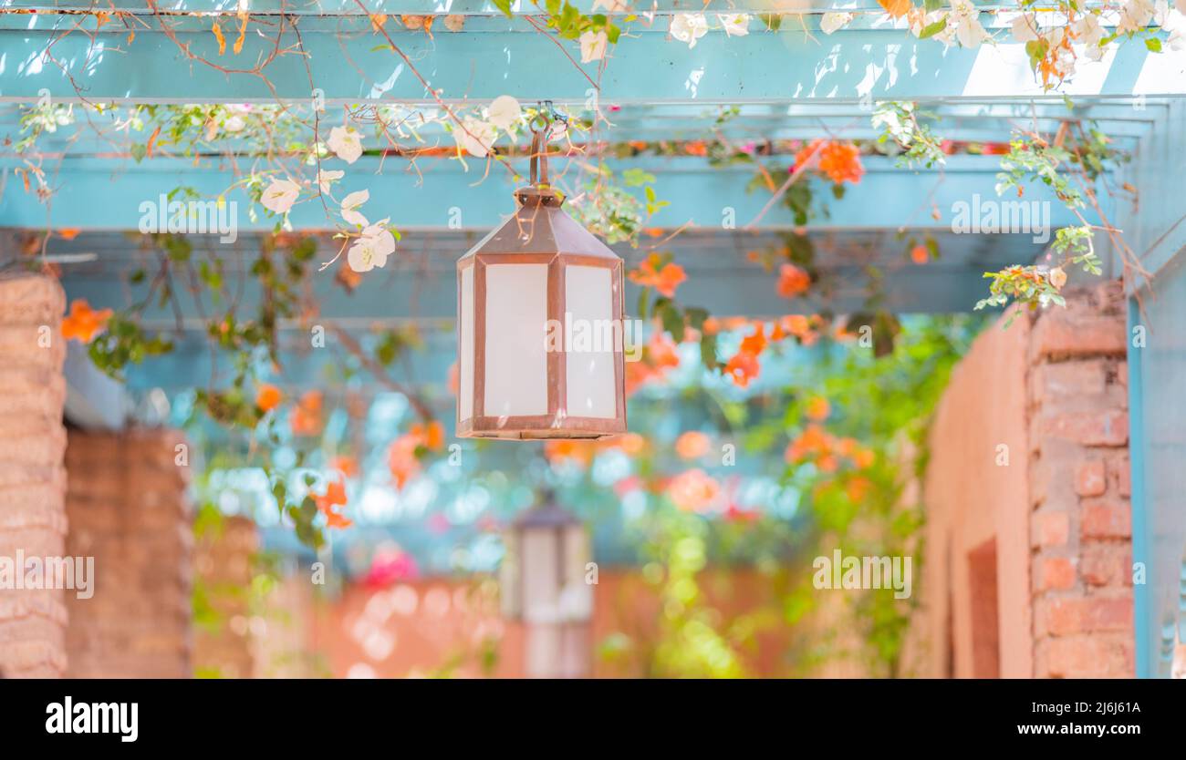 Immagini di Yves Saint Lauren Garden a Marrakesh Foto Stock