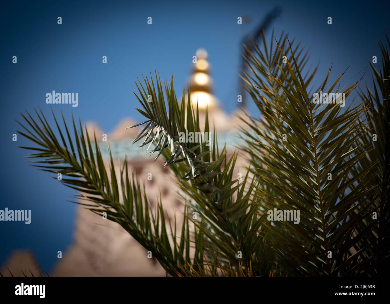 Immagini di Yves Saint Lauren Garden a Marrakesh Foto Stock