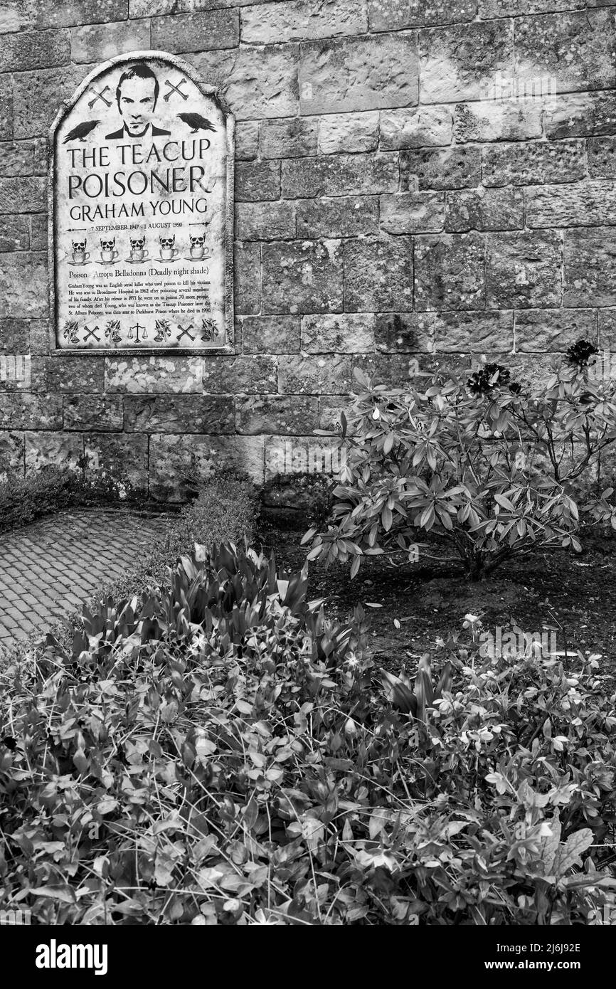 Dettagli del teacup avvelenatore Graham Young nel giardino di veleno in Alnwick Gardens a Alnwick, Northumberland Regno Unito nel mese di aprile Foto Stock
