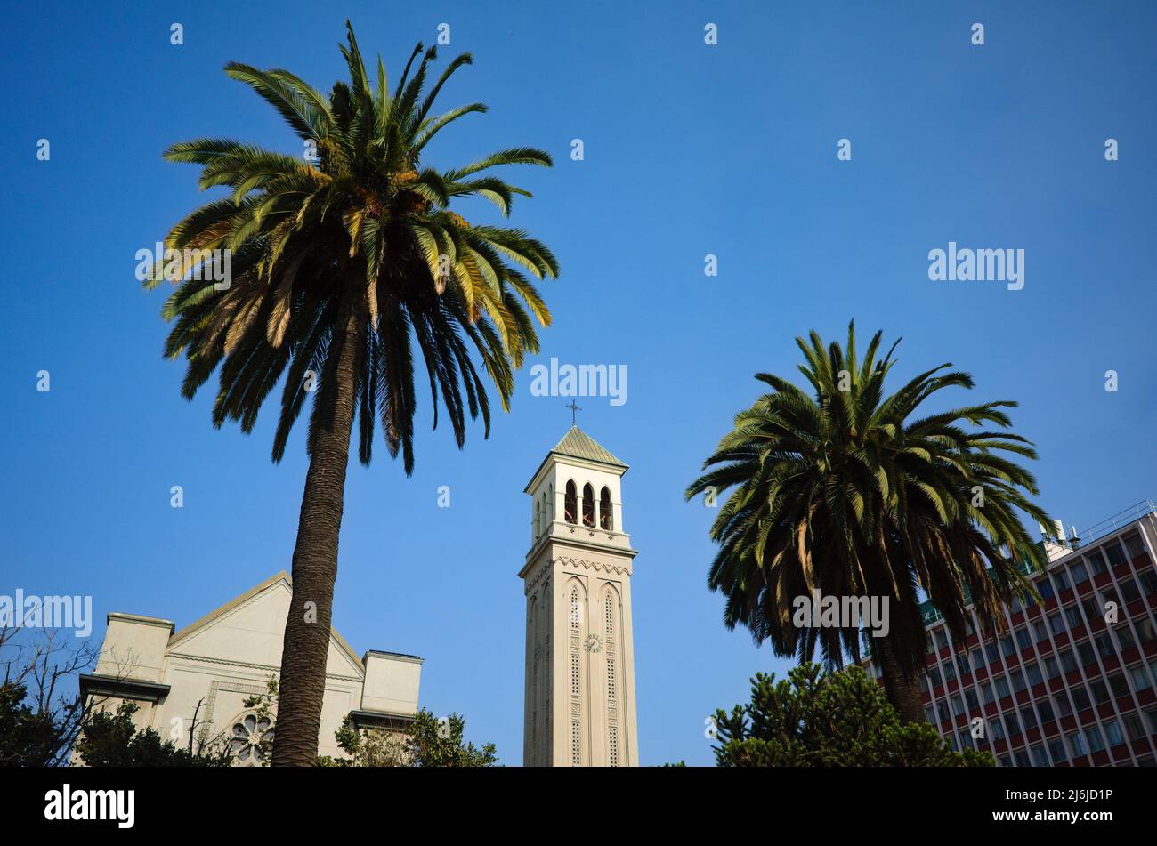 Vista del campanile della Catedral de Valparaiso tra due palme contro il cielo blu. Campanile della chiesa cattolica in stile architettonico gotico Foto Stock