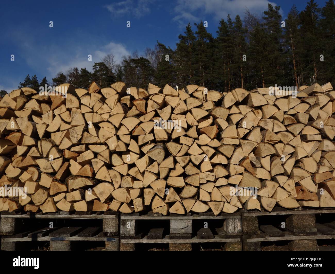 Tre versioni di legno, la foresta dietro la pila di legna in piedi su pallet di legno. Tutte le cose buone vengono in tre. Foto Stock