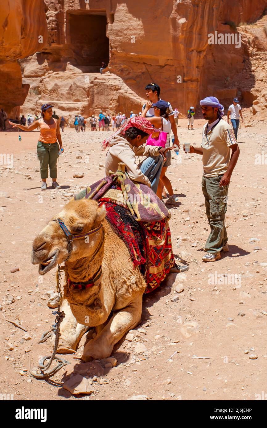 Petra, Giordania - 23 maggio 2009: Cameleers e turisti nei pressi di al-Khazneh a Petra Foto Stock