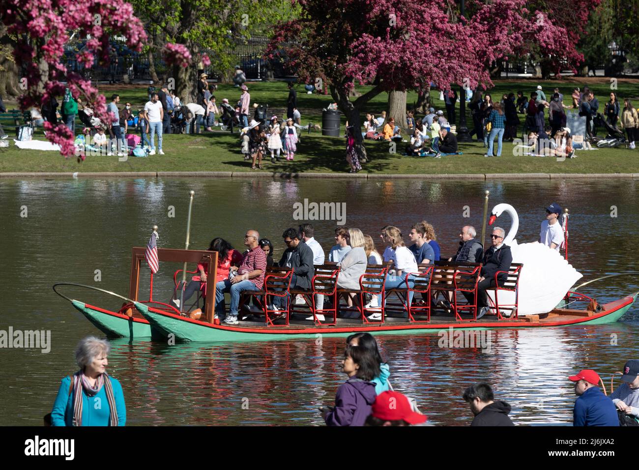 San Boats Boston Public Garden primavera Foto Stock