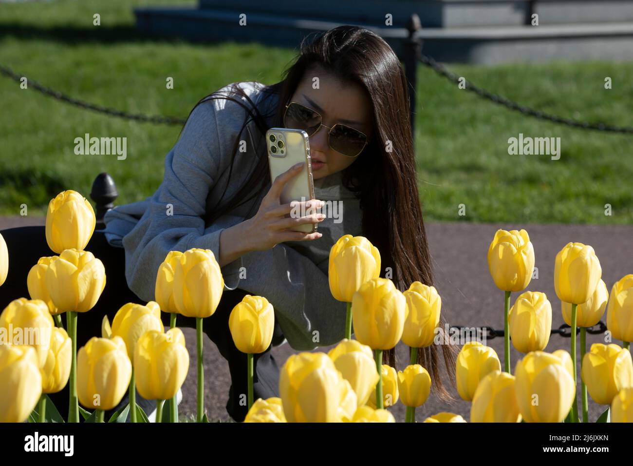 Donna fotografando con tulipani telefono Boston Public Garden primavera donna Foto Stock