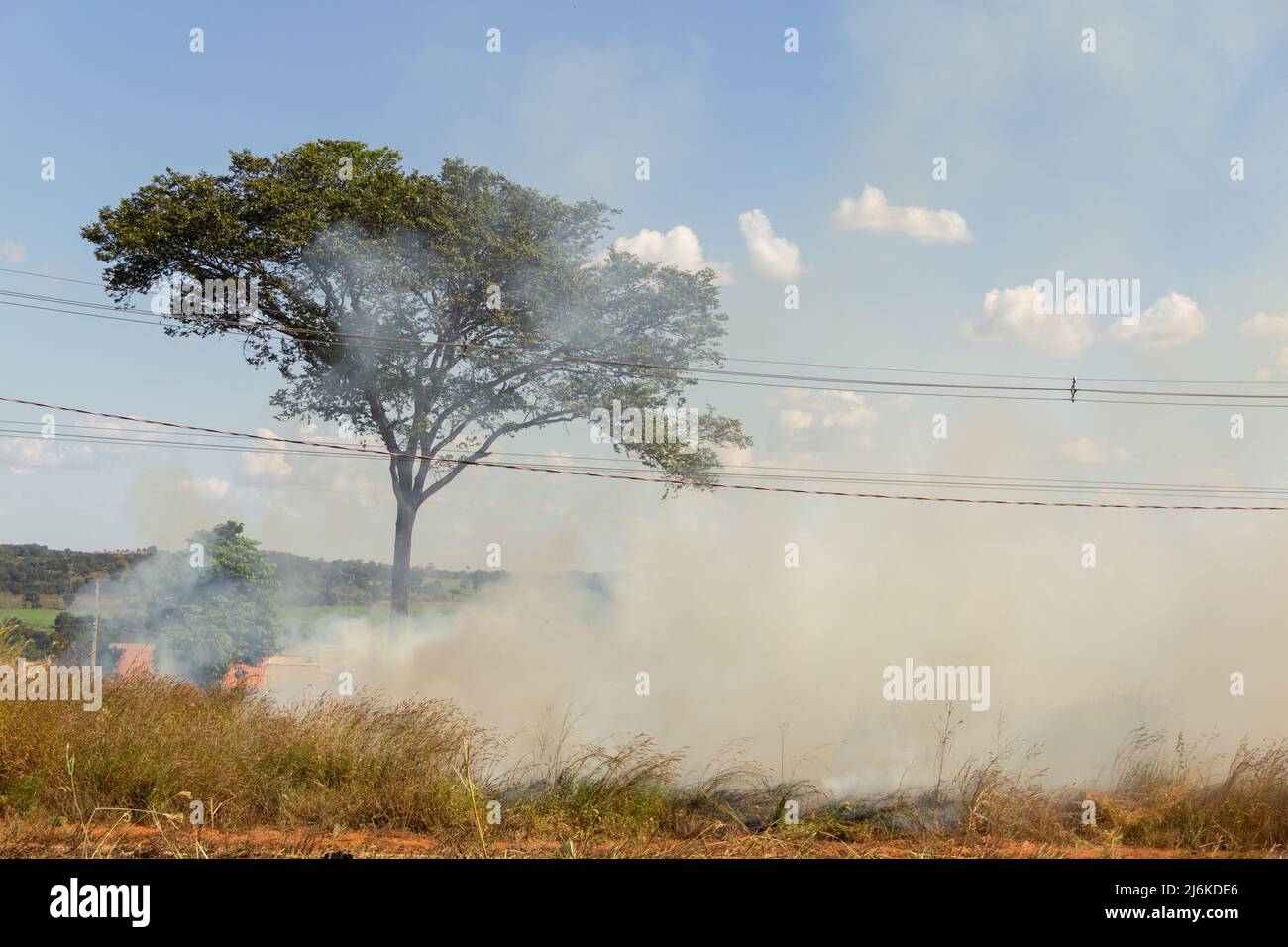 Goiânia, Goias, Brasile – 30 aprile 2022: Bruciato nell'erba sul lato della strada, con un albero, un sacco di fumo e cielo blu sullo sfondo. Foto Stock
