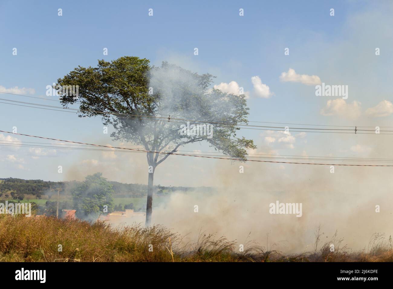 Goiânia, Goias, Brasile – 30 aprile 2022: Bruciato nell'erba sul lato della strada, con un albero, un sacco di fumo e cielo blu sullo sfondo. Foto Stock