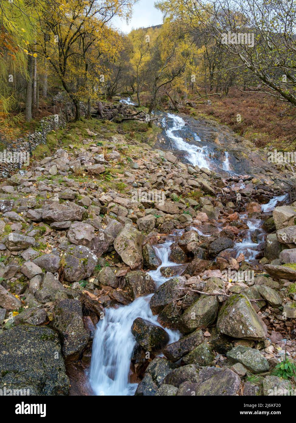 Cascata di Sourmilk Gill in autunno con colorati alberi di betulla d'Argento, Buttermere, English Lake District, Cumbria, Inghilterra, REGNO UNITO Foto Stock
