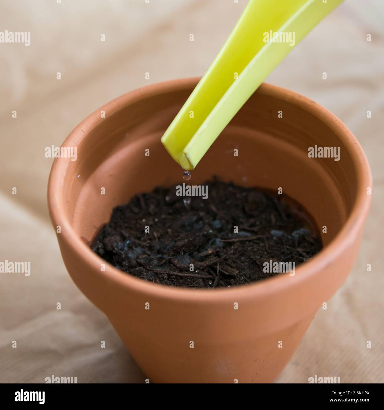 Primo piano di una pentola di argilla durante l'annaffiatura, con una goccia che cade. Importanza di annaffiare per aiutare i semi germinare. Carta marrone come sfondo Foto Stock