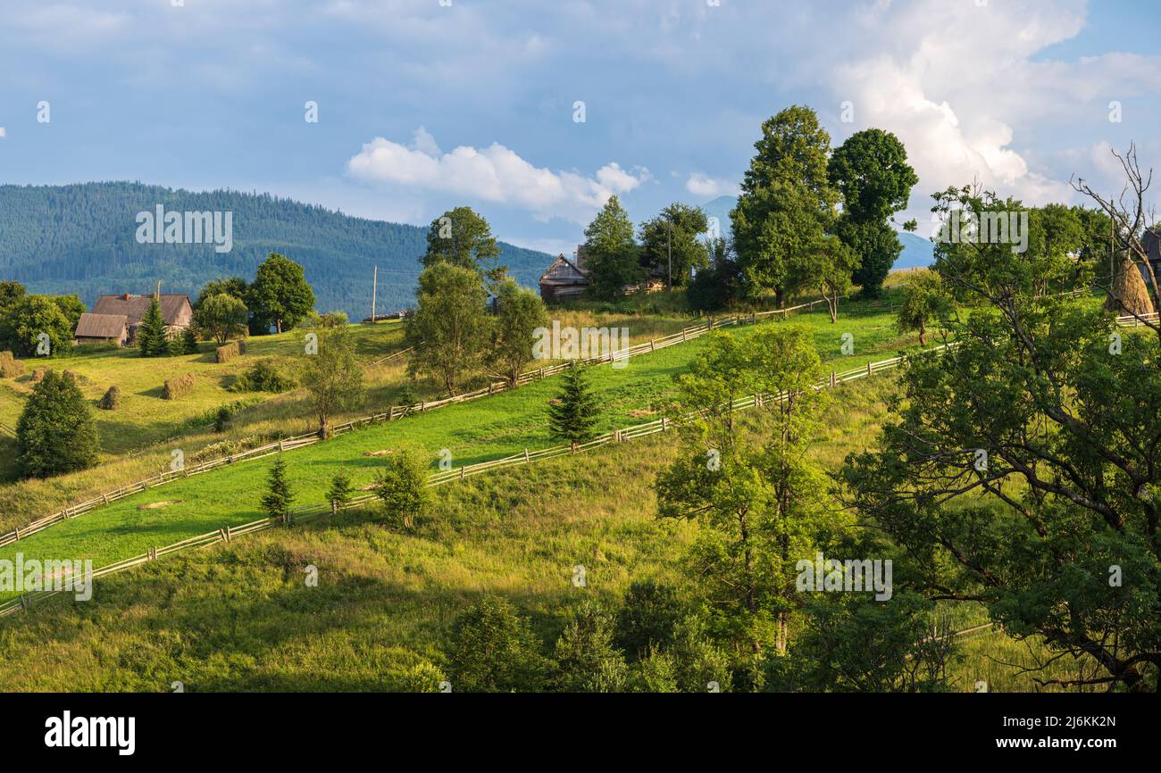 Pittoresca estate Carpazi montagna vista campagna, Ucraina Foto Stock