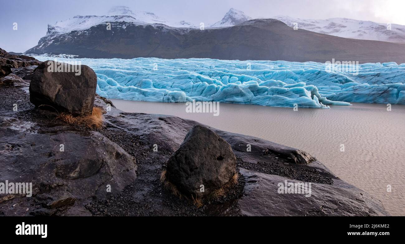 Gletscherzunge des Svínafellsjökull, Skaftafell Nationalpark - lingua del ghiacciaio di Svínafellsjökull, parco nazionale Skaftafell Foto Stock