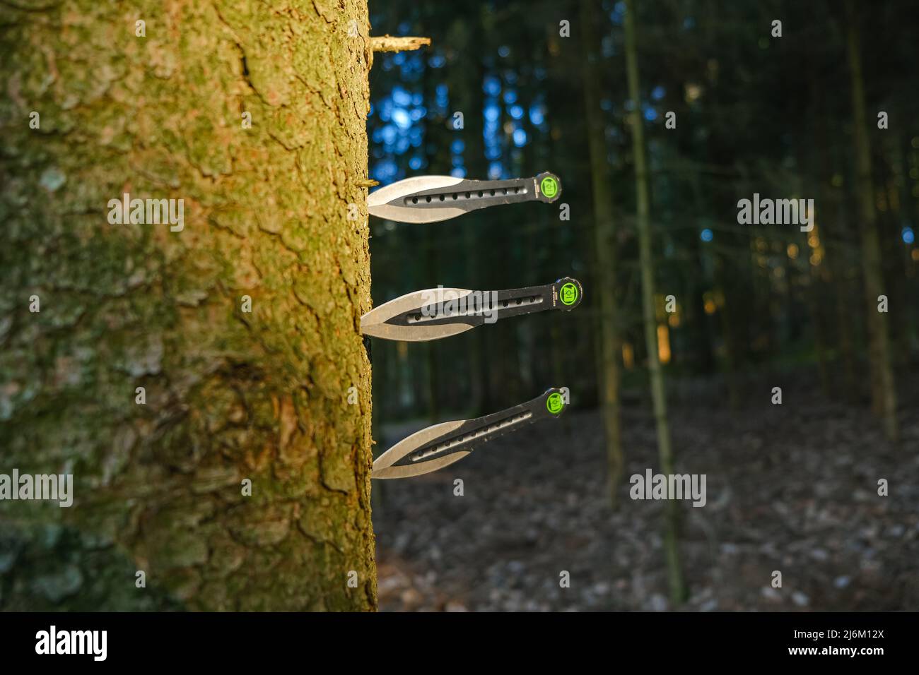 Gettando coltelli.metallo coltelli . sport nella foresta. Sport e hobby.Sport all'aperto. Foto Stock