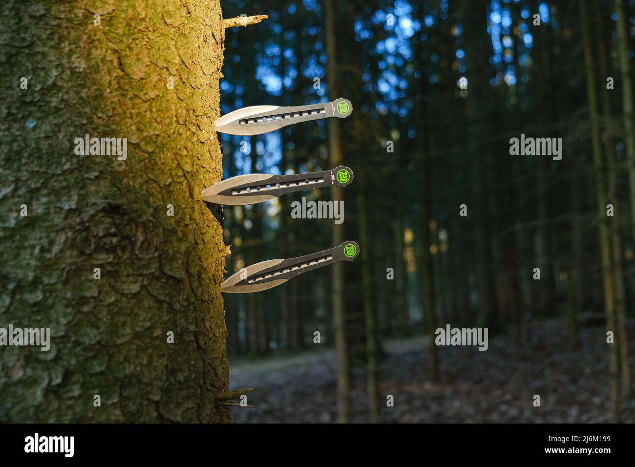 coltelli di metallo per gettare in una foresta. Sport attivi nella foresta. Sport e hobby.Sport all'aperto. Foto Stock