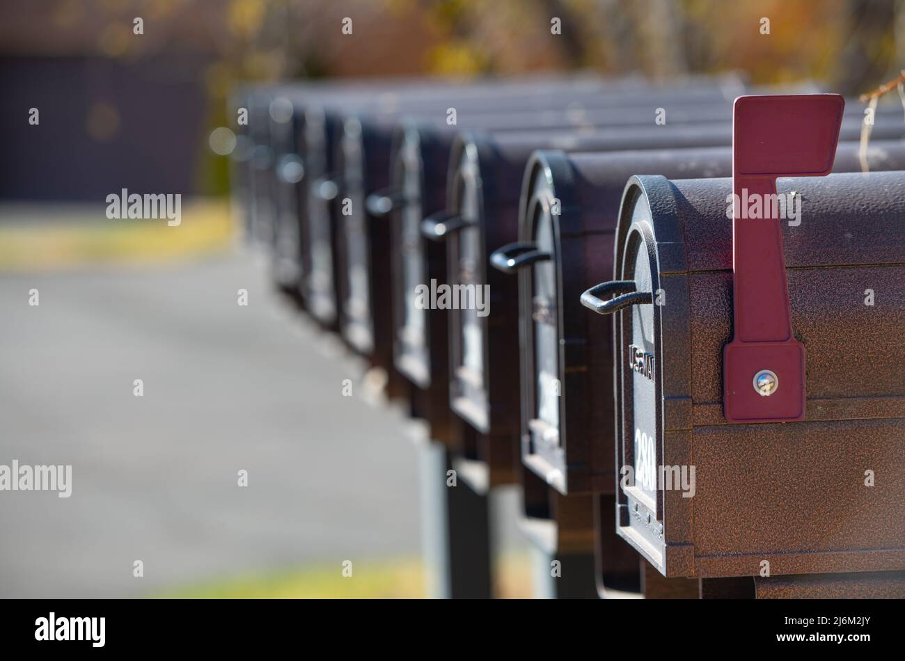 Allineate le cassette postali nere con la prima casella postale con un segnale d'allarme che indica la ricezione di posta per il servizio postale degli Stati Uniti attenzione selettiva profondità di campo spazio aperto per Foto Stock