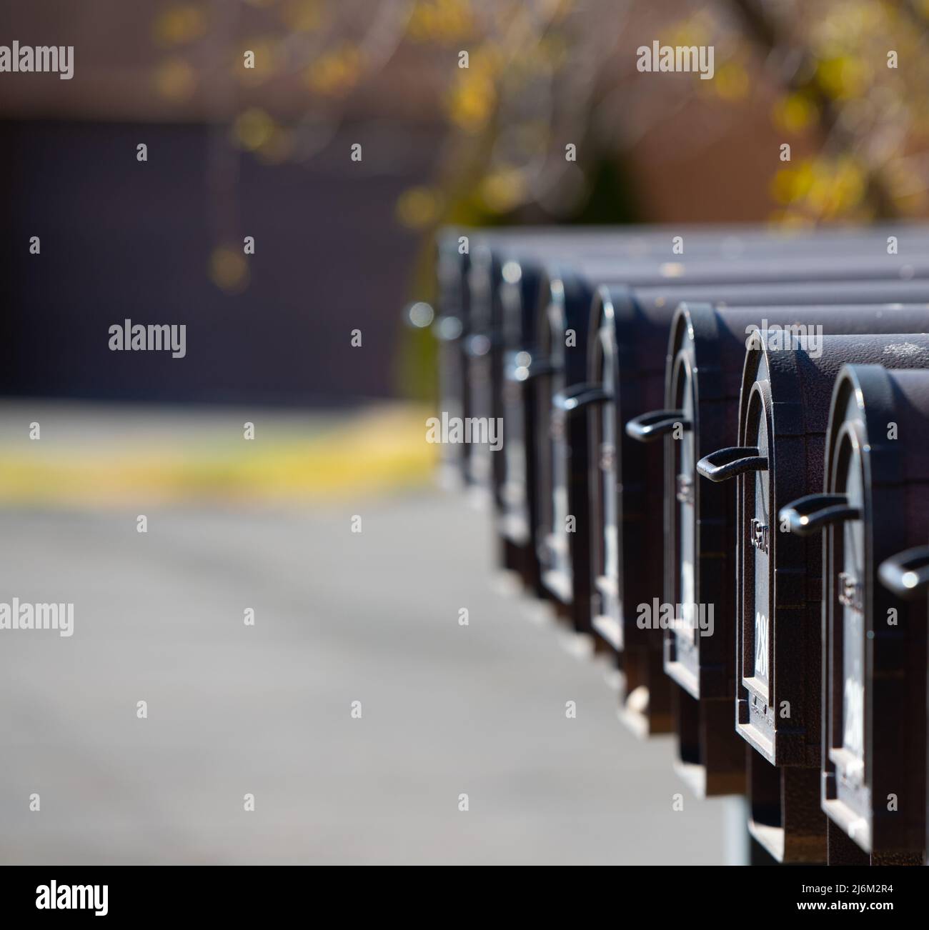 Allineate le cassette postali nere con la prima che indica la posta GET per il servizio postale degli Stati Uniti focalizzazione selettiva profondità di campo spazio aperto per tipo profondità di campo Foto Stock