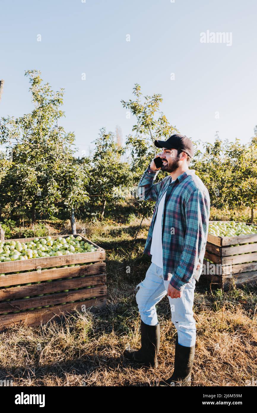 Giovane contadino latino che usa il telefono accanto alla piantagione di mele. Concetto agricolo. Nomade digitale Foto Stock