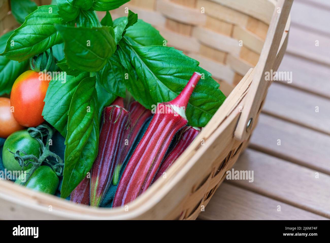 Verdure e erbe fresche e raccolte da giardino, pomodori, okra e basilico in un cestino di legno, stile di vita sano. Foto Stock