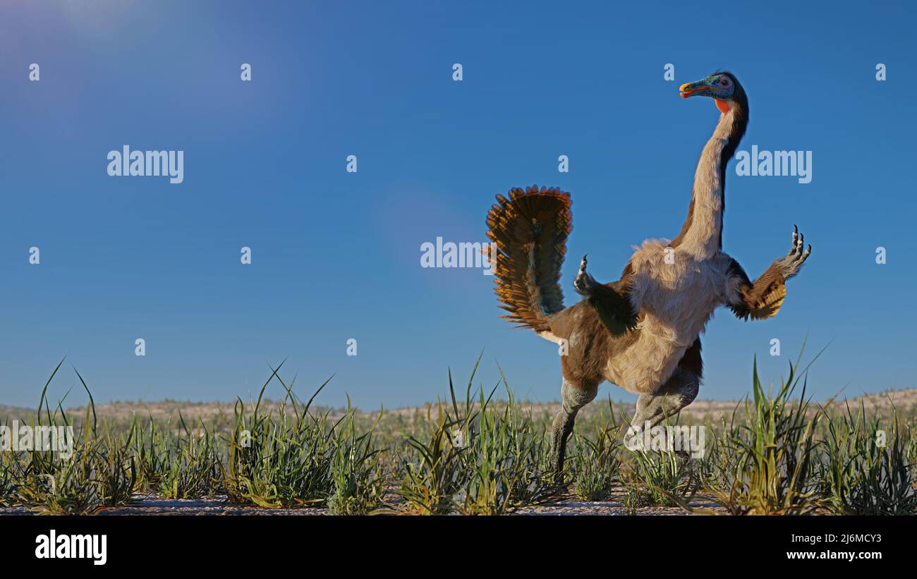 Gallimimus, dinosauro teropodico sfumato che visse durante il tardo periodo cretaceo Foto Stock