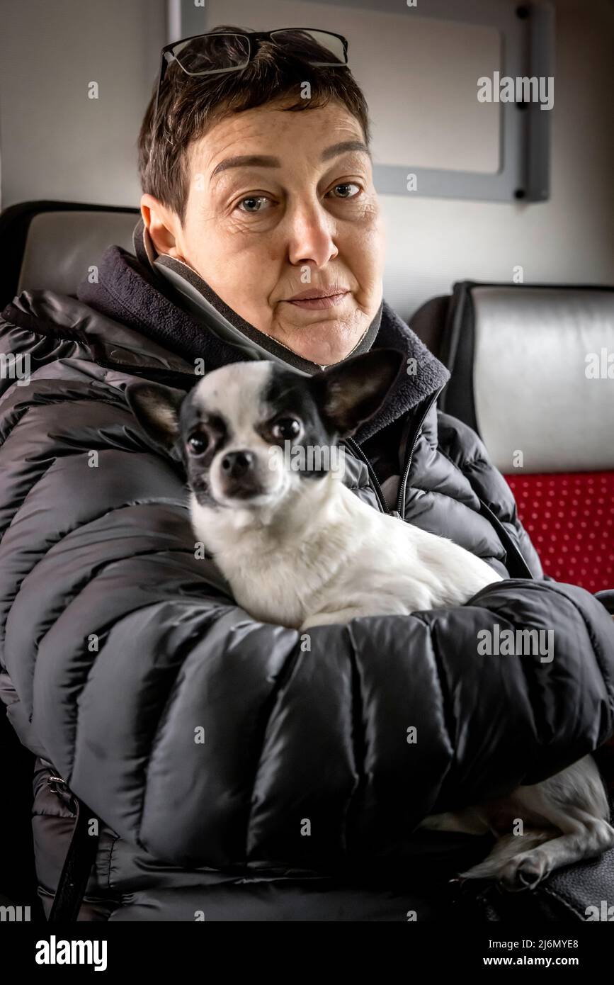 I rifugiati ucraini lasciano Chisinau, capitale moldava. Da qui, l'ONG "Be an Angle" di Berlino organizza il viaggio dei rifugiati in autobus verso la Germania. Foto Stock