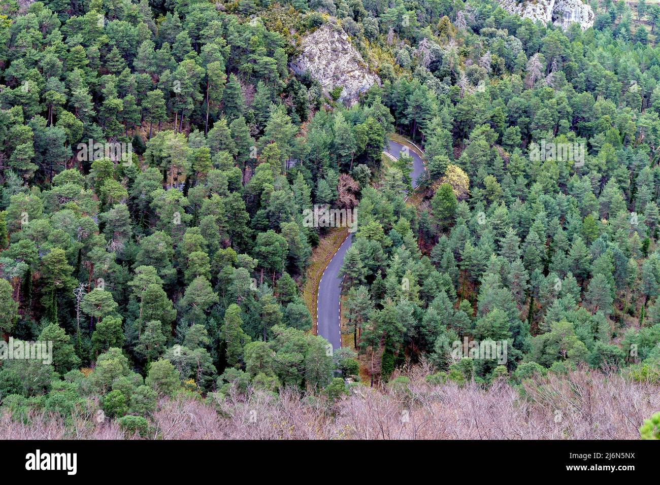 Strada asfaltata attraverso la foresta di conifere. Foto Stock